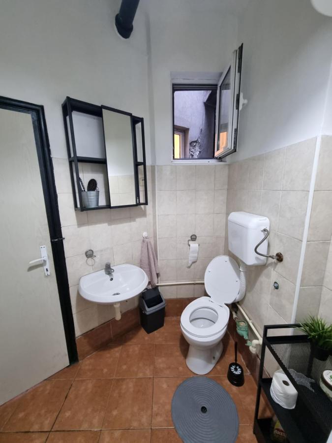 Downtown Belgrade Hostel And Apartments ภายนอก รูปภาพ